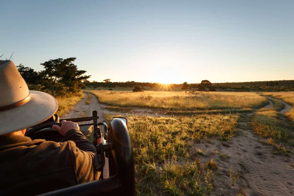 sunrise safari in Kenya